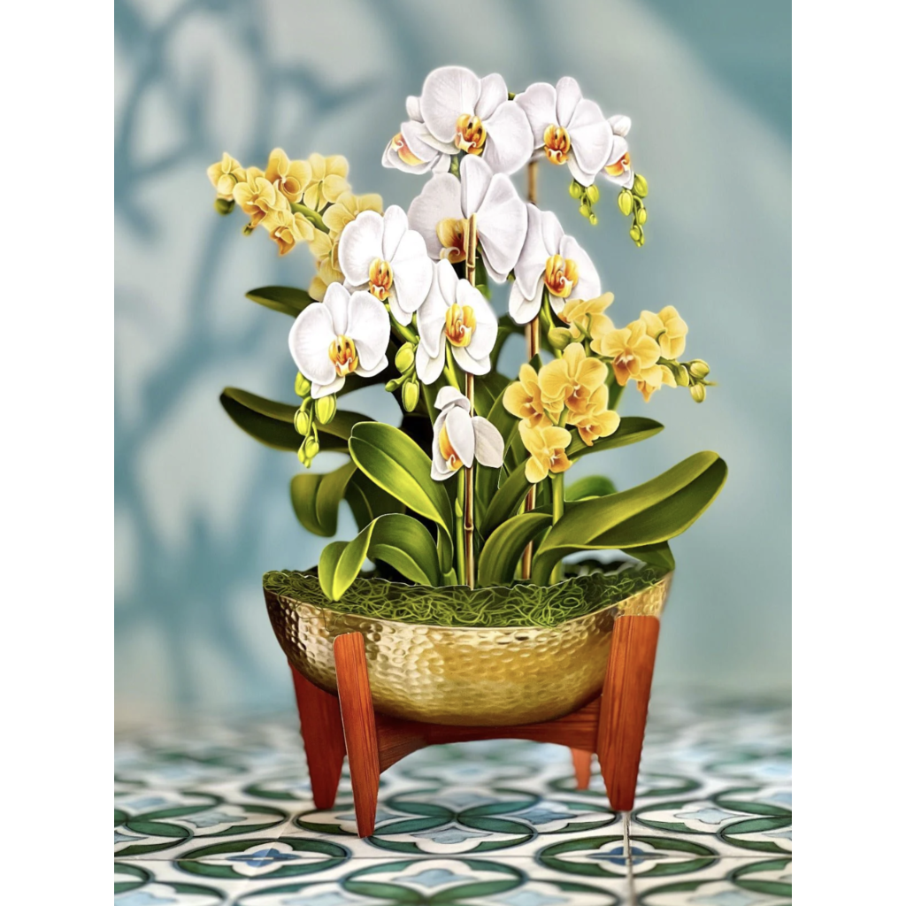 Lady Bird Johnson Serenity Orchid Paper Bouquet