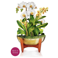 Lady Bird Johnson Serenity Orchid Paper Bouquet