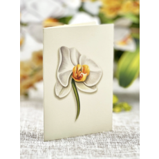 Lady Bird Johnson Serenity Orchid Paper Bouquet