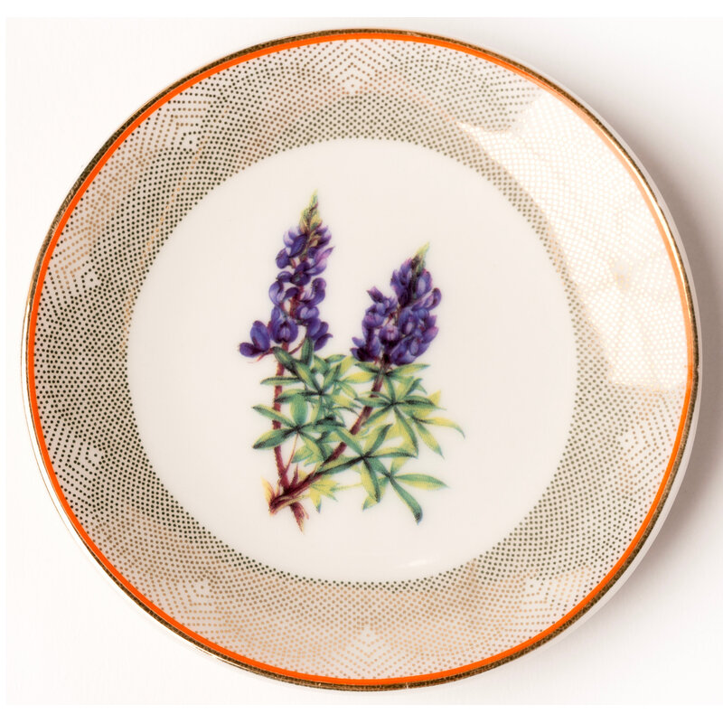 Lady Bird Johnson Bluebonnet Plate Trinket Dish 3"