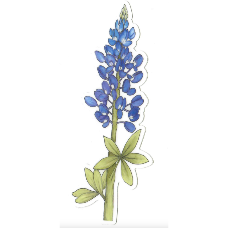 Austin & Texas Bluebonnet 6" x 2" Vinyl Sticker