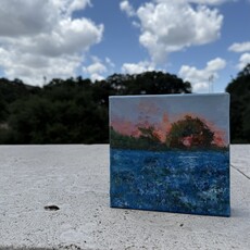 Austin & Texas Bluebonnets mixed media on 6x6 Canvas Jean Schuler