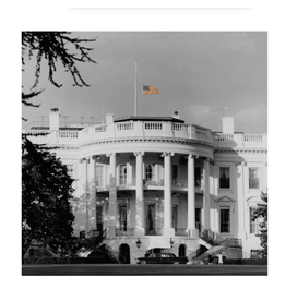 Lady Bird Johnson Flag flying in honor of President Kennedy 1963 26.5"x26.5" Print