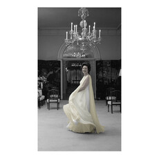 Lady Bird Johnson Lady Bird Yellow Dress 42"x26" Print