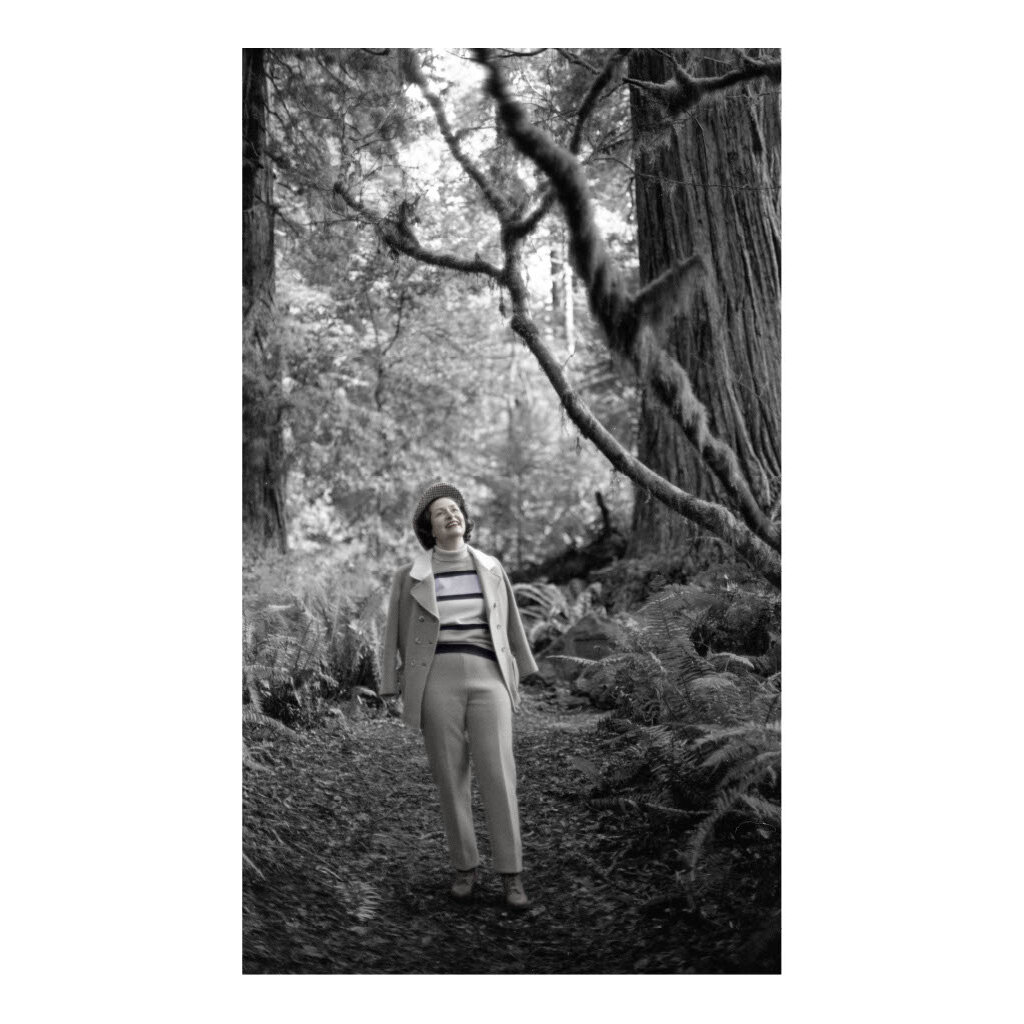 Lady Bird Johnson Lady Bird Johnson Redwood Forest 42"x26" Print
