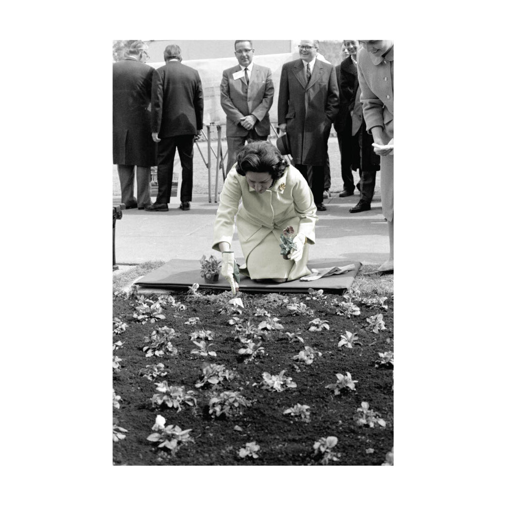 Lady Bird Johnson Lady Bird Planting Flowers 42"X26" Print