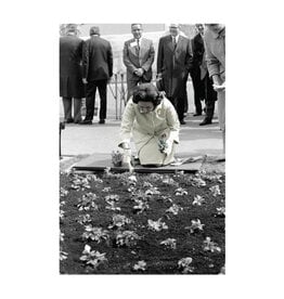 Lady Bird Johnson Lady Bird Planting Flowers 22.5"X16" Print