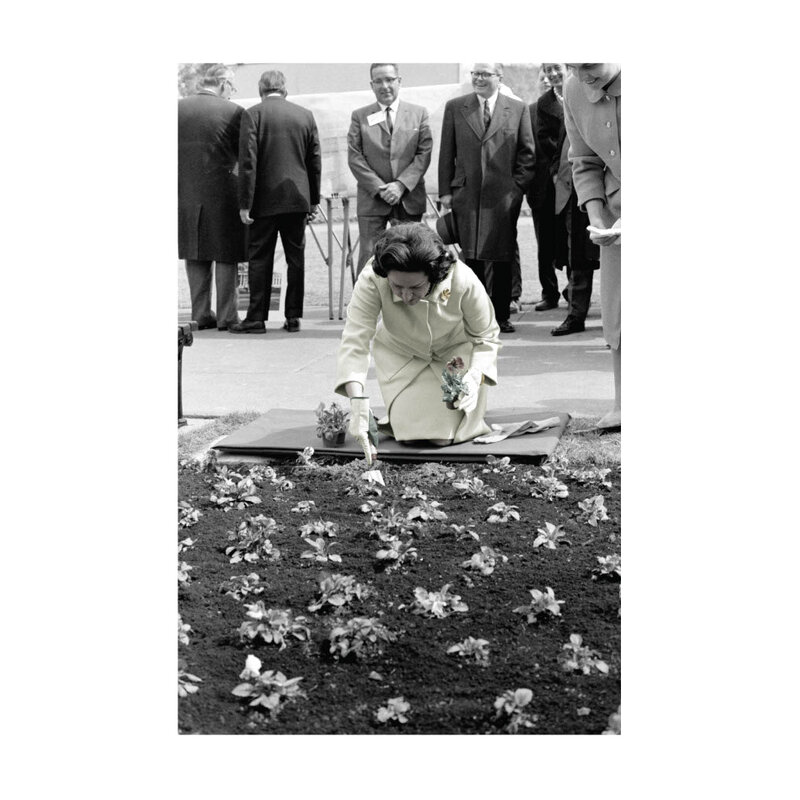 Lady Bird Johnson Lady Bird Planting Flowers 22.5"X16" Print