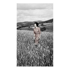 Lady Bird Johnson Lady Bird Scandinavian Trip 42"x26" Print