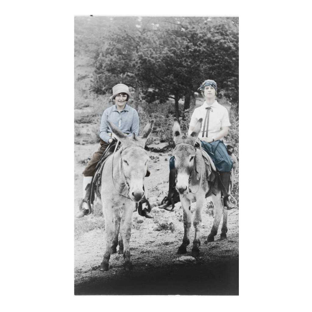Lady Bird Johnson Lady Bird & friend on a donkey 42" x 26" Print