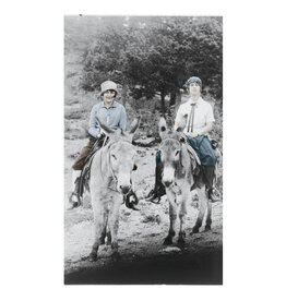 Lady Bird Johnson Lady Bird & friend on a donkey 42" x 26" Print