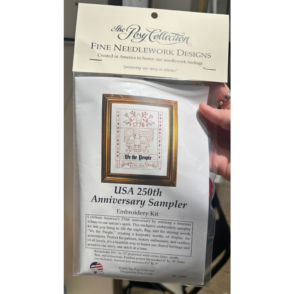 American Experiment We The People 1776-2026 Embroidery Kit
