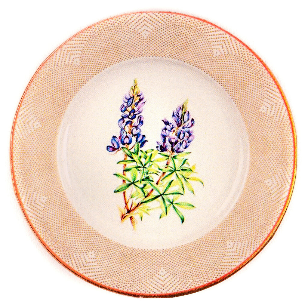 Lady Bird Johnson Bluebonnet Plate Acrylic Magnet