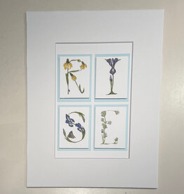 Austin & Texas RISE Botanical 8x10 print