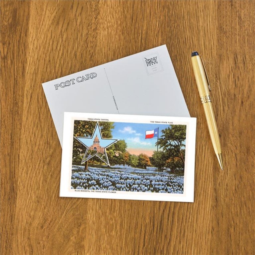 Austin Past/Present Texas State Capitol Bluebonnets Postcard