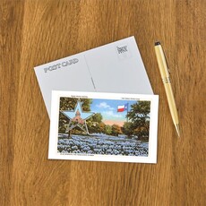 Austin Past/Present Texas State Capitol Bluebonnets Postcard