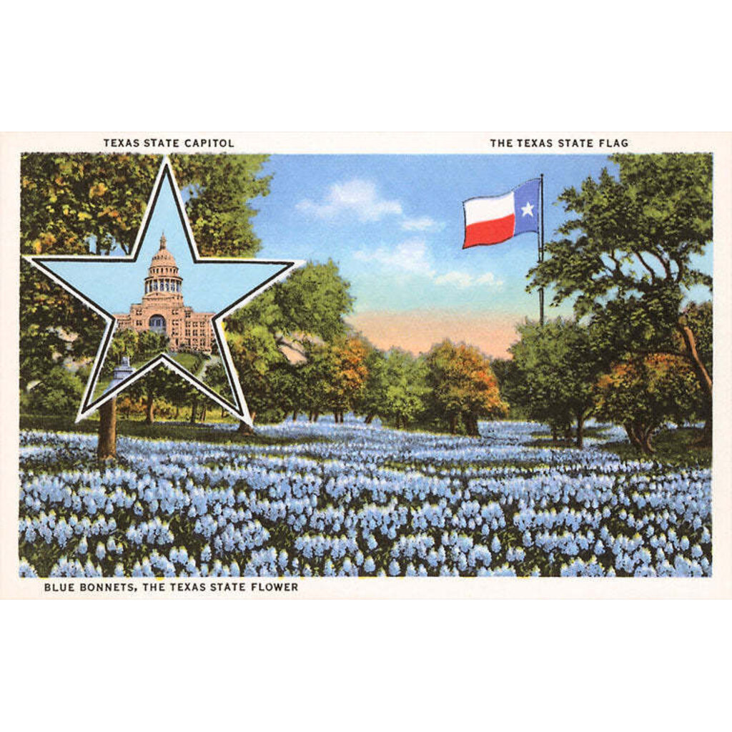 Austin Past/Present Texas State Capitol Bluebonnets Postcard