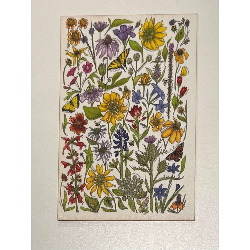 Lady Bird Johnson Wildfowers of Tx Wooden Postcard