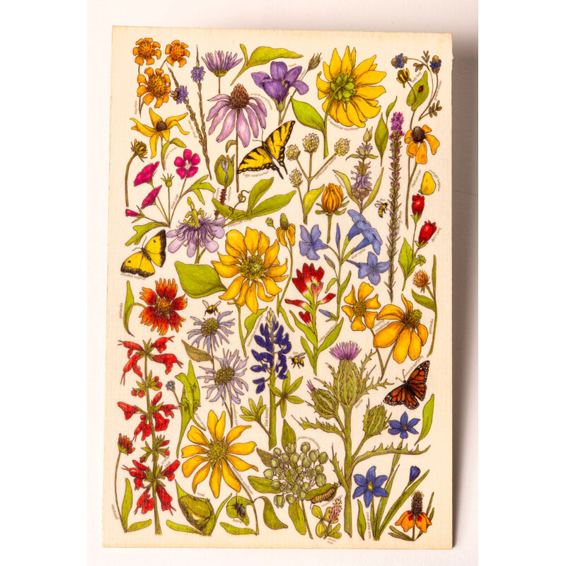 Lady Bird Johnson Wildfowers of Tx Wooden Postcard