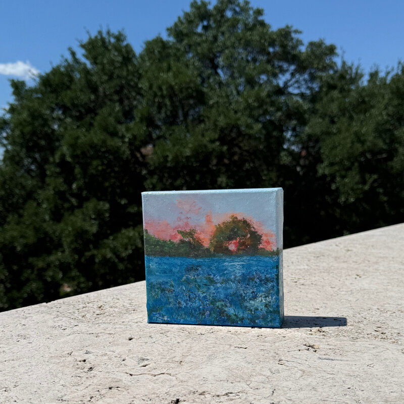 Austin & Texas Bluebonnets mixed media on 6x6 Canvas Jean Schuler