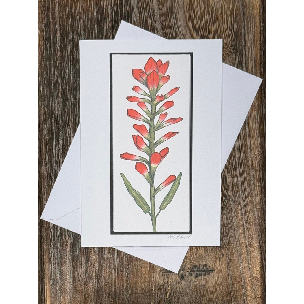 Indian Paintbrush Raised Card