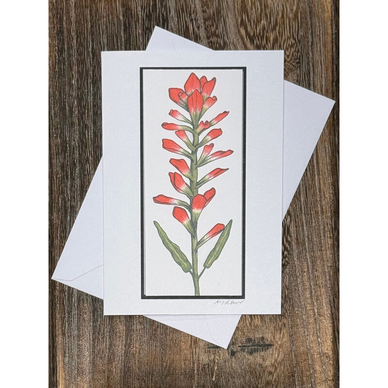 Indian Paintbrush Raised Card