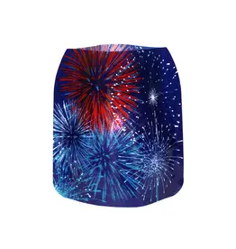 American Experiment Fireworks Lantern