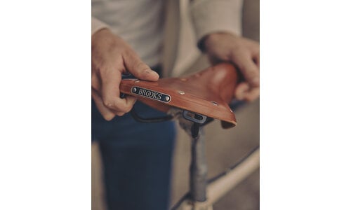Seatposts & Saddles