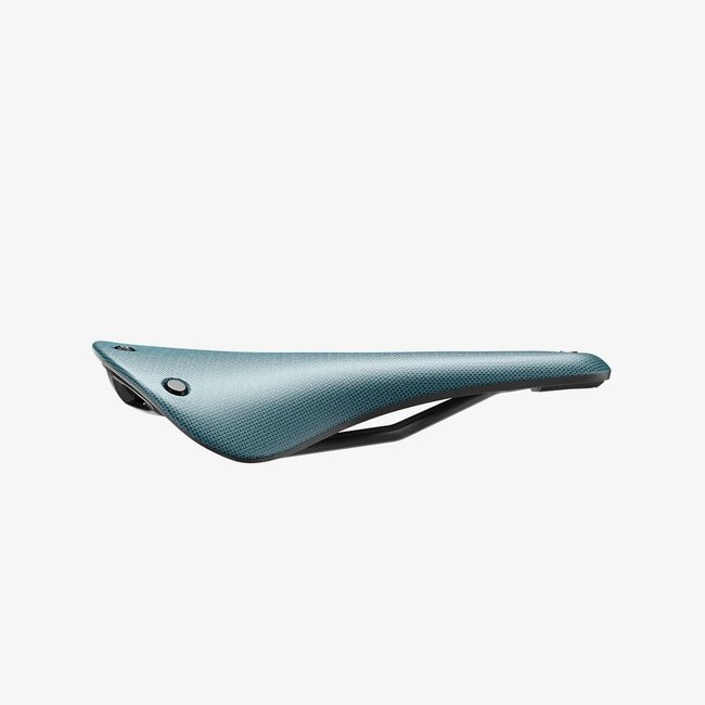 Brooks Cambium C17