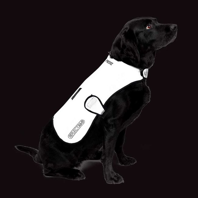 ProViz REFLECT 360 Waterproof Dog Coat