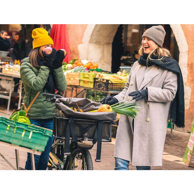 Yuba Mundo Lux V6 24sp Olive