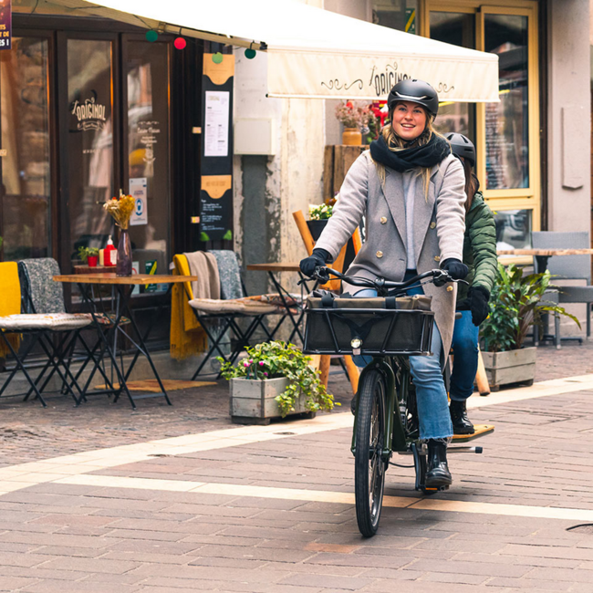 Yuba Mundo Lux V6 24sp Olive