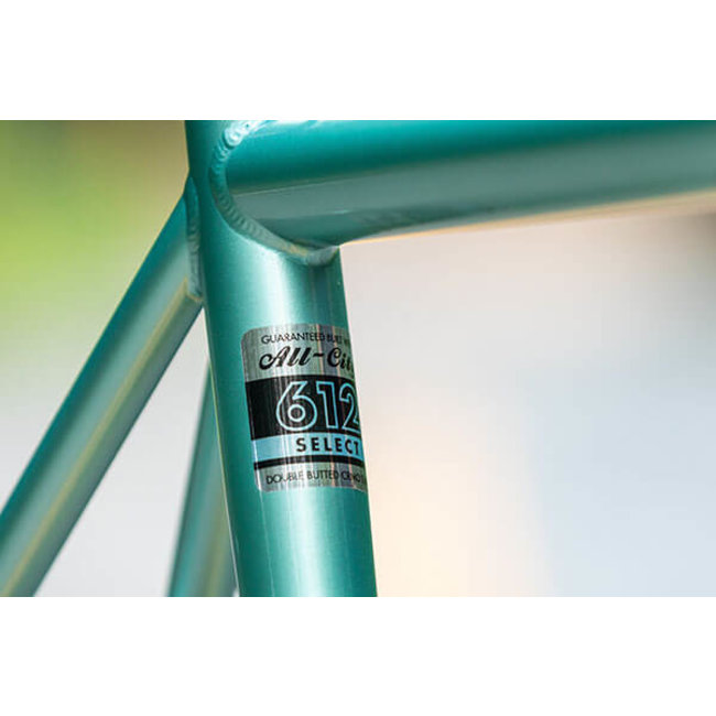 All-City Space Horse Disc Thru Tiagra