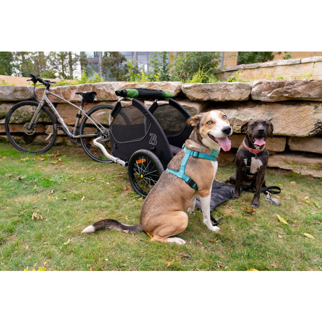 Burley Tail Wagon Dog and Pet Trailer