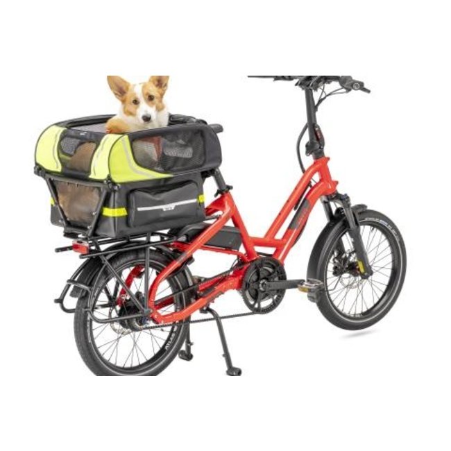 Tern Dog Roof Mini