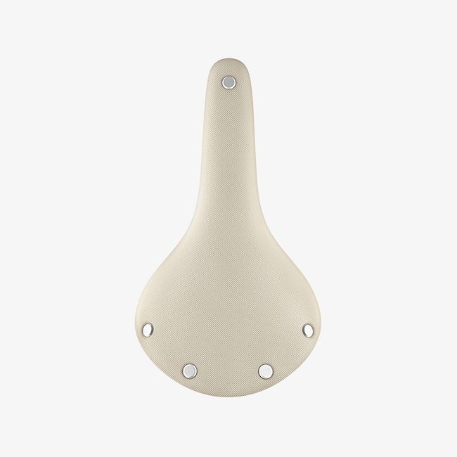 Brooks Cambium C17 Saddle Special