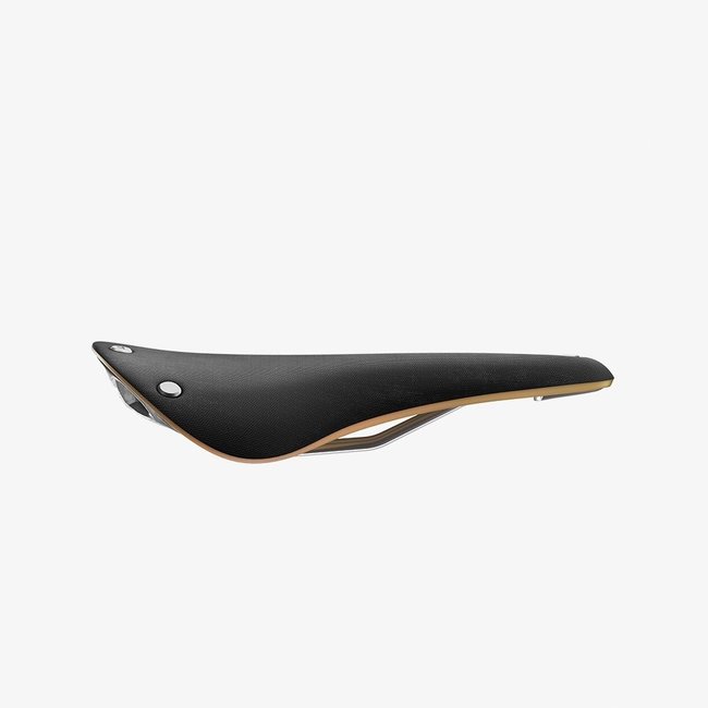 Brooks Cambium C17 Saddle Special