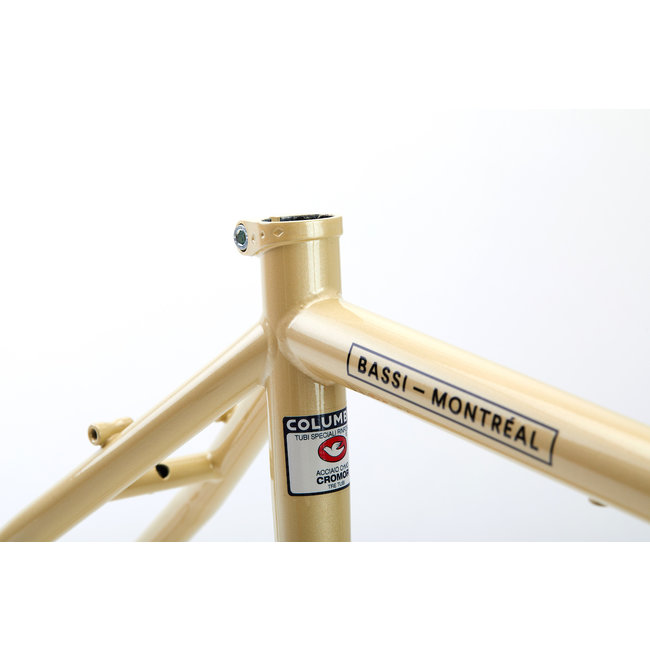 Bassi Hog's Back Frameset