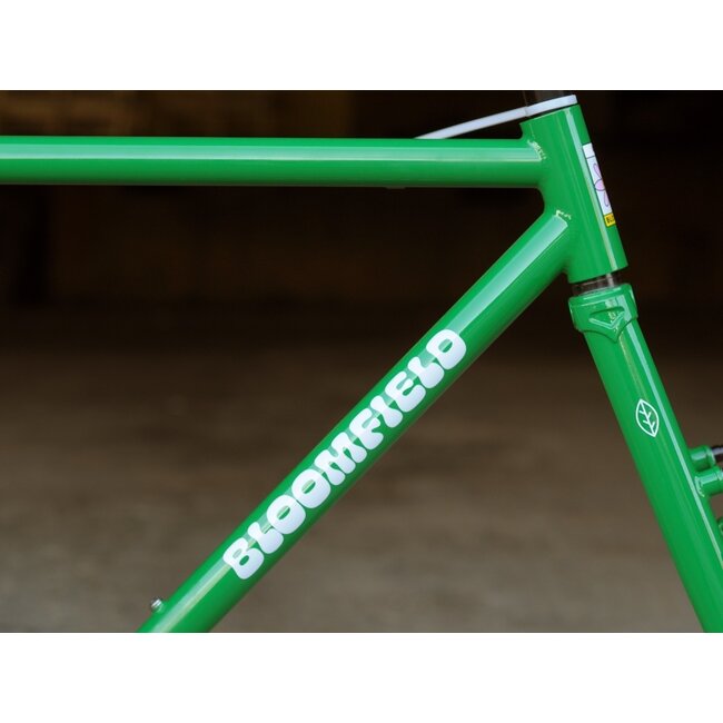 Bassi Bloomfield Single Speed V2 Canti Frameset