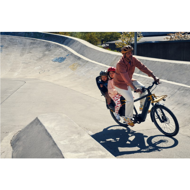 Riese & Muller Multicharger2 GT Vario Kiox 300 750Wh Petrol/Black Matte 51cm