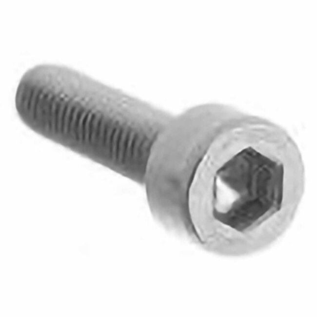Brooks Leather Ring Tightening Screw (M3x12 Low profile head) - BYB 362 [S4]