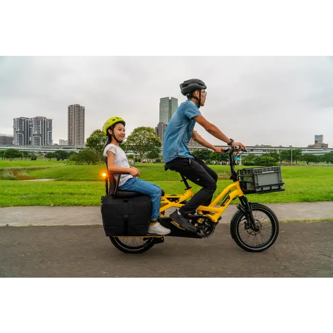Tern Captain's Chair