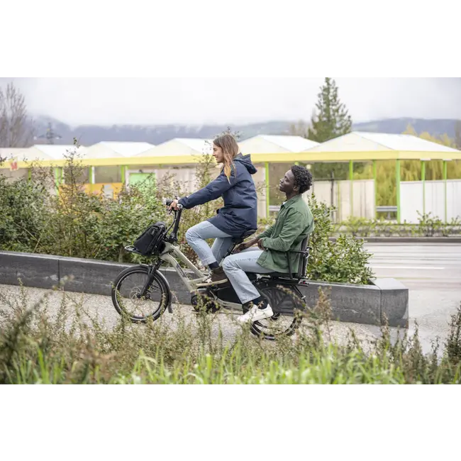 Tern Captain's Chair