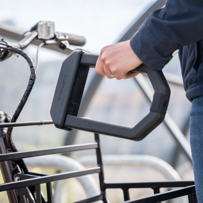 Hiplok DX1000 (205x112mm) D-Lock Black