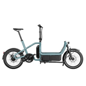 Riese & Muller Riese & Muller Carrie City 545Wh Aqua OS