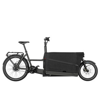 Riese & Muller Riese & Muller Packster2 70 Vario Comfort 750Wh Matte Urban Grey OS