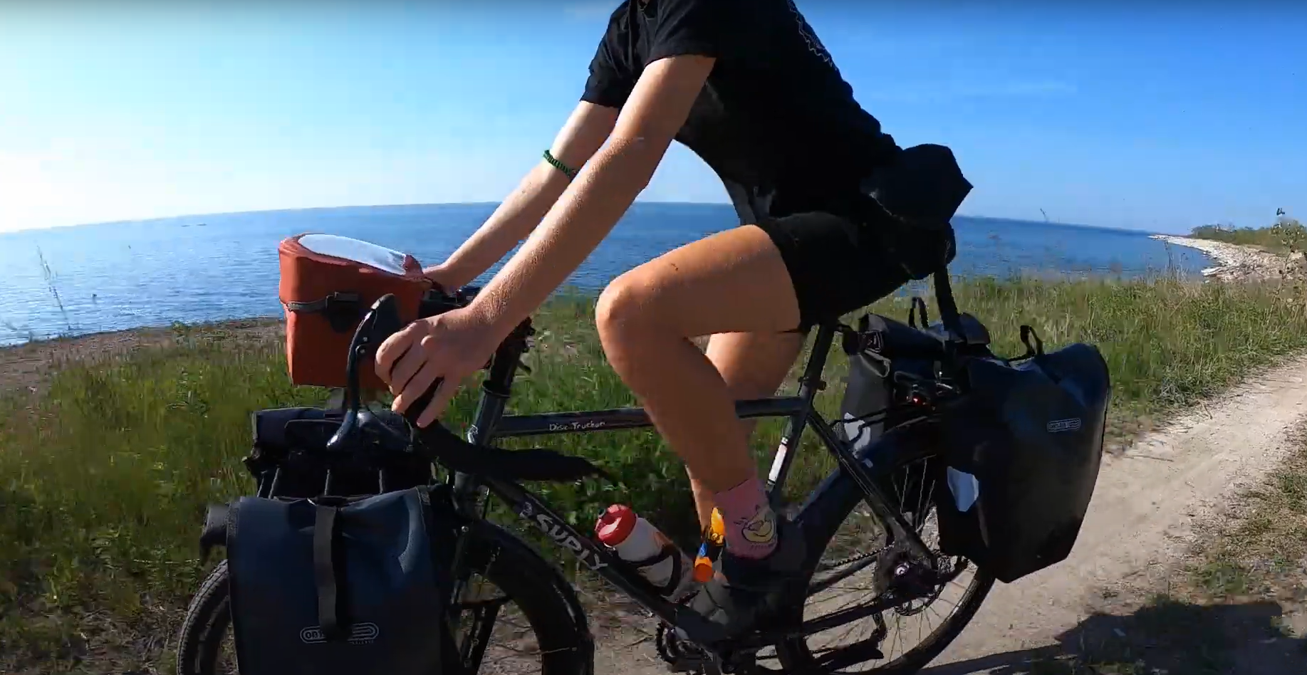 Surly Disc Trucker Rental Touring Fleet For Sale!