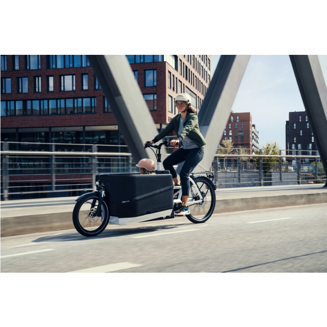 Riese & Muller Packster2 70 CT Vario 750Wh White OS DEMO