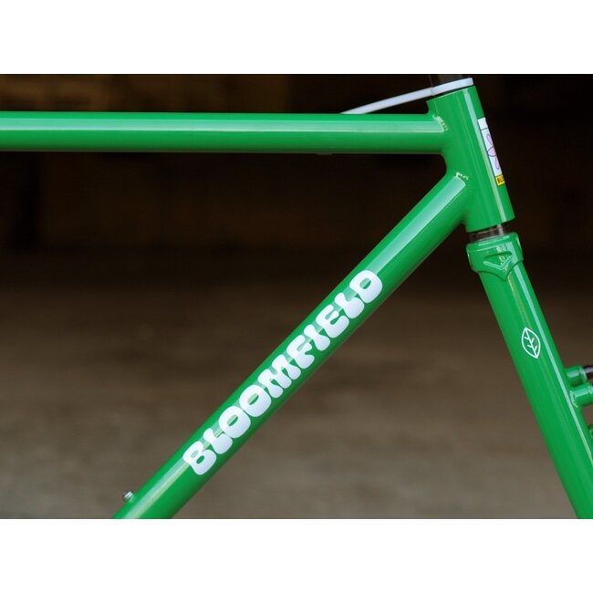 Bassi Bloomfield Single Speed V2 Canti Frameset 50.5 ✯blemished✯