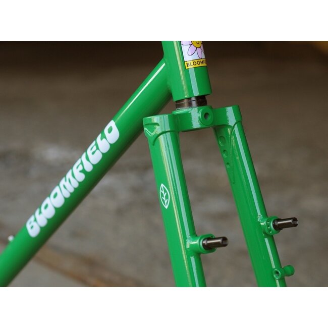 Bassi Bloomfield Single Speed V2 Canti Frameset 50.5 ✯blemished✯